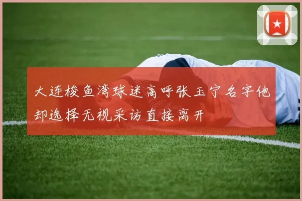大连梭鱼湾球迷高呼张玉宁名字他却选择无视采访直接离开